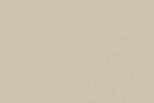 LEATHER REPAIR BASECOAT