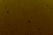 BRUSH TIP GRAINING MARKER