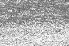 GRAINING PENCIL