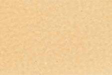 HONEY SPICE