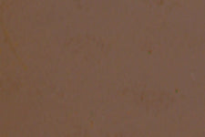 M210-0249-CORRECT