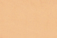 M231-8981