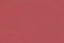M231-9850