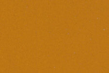 M294-5010