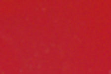M294-5013