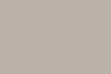 TONE FINISH TONER